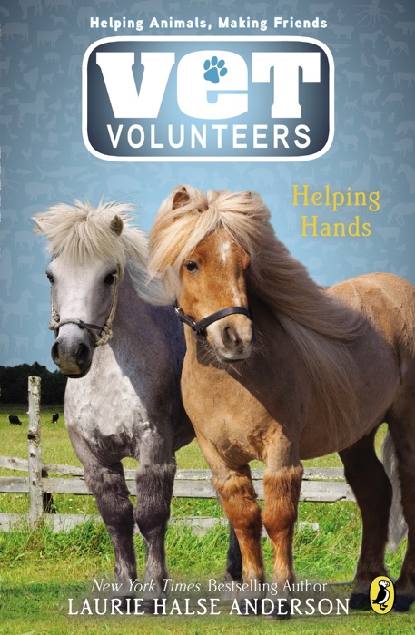 Vet Volunteers #15 Helping Hands