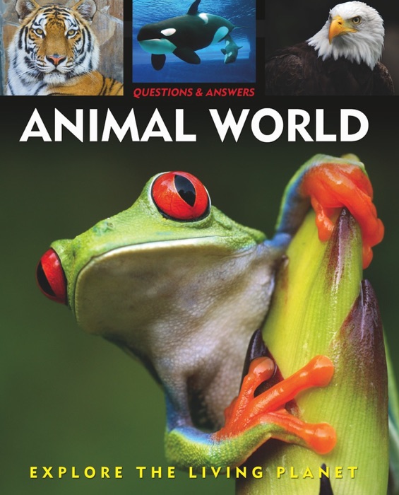 Questions & Answers: Animal World