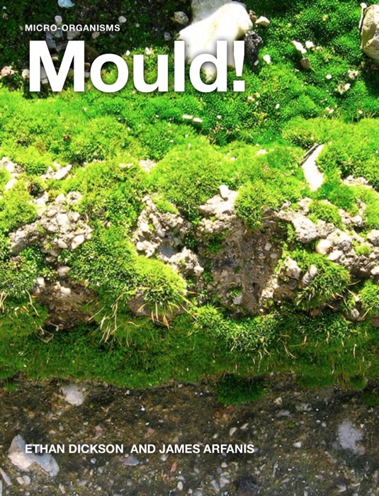 Mould