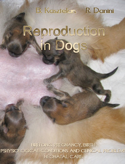 Reproduction In Dogs