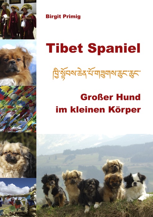 Tibet Spaniel