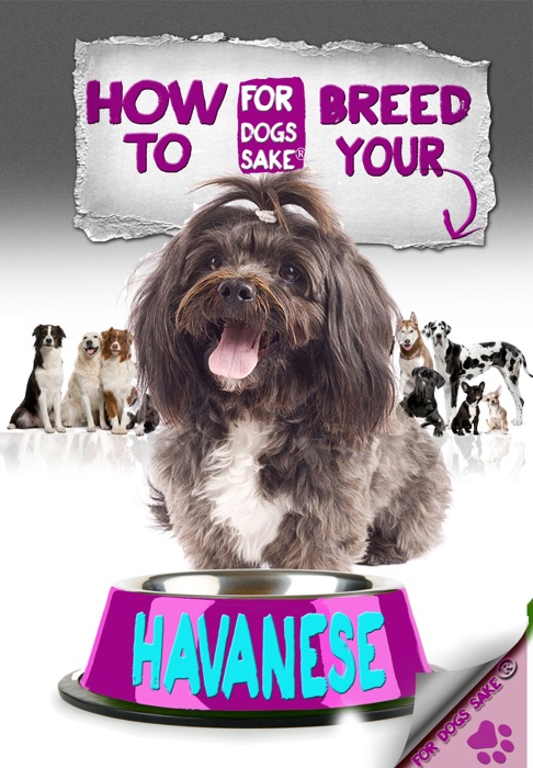 How to Breed Your Havanese