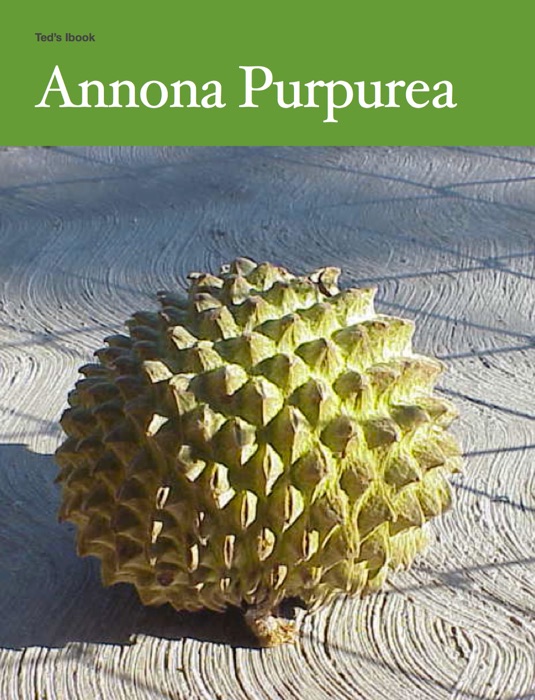 Annona Purpurea
