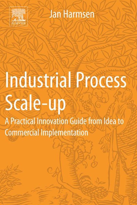 Industrial Process Scale-up