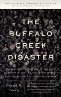 Gerald M. Stern - The Buffalo Creek Disaster artwork