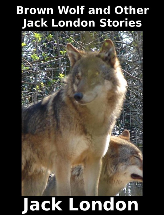 Brown Wolf and Other Jack London Stories