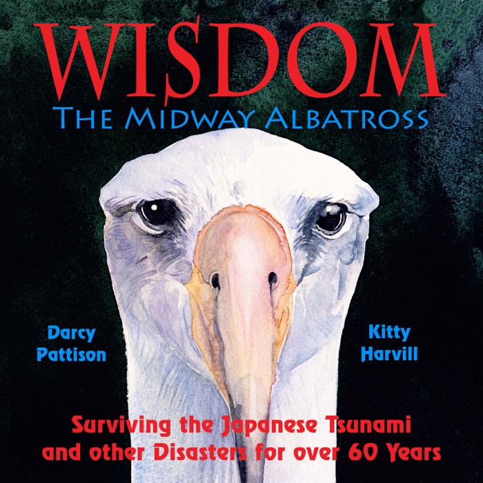 Wisdom, the Midway Albatross