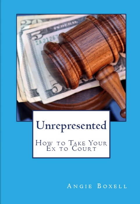 Unrepresented: How to Take Your Ex to Court