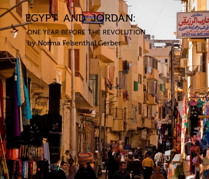 Egypt and Jordan: One Year Before the Revolution