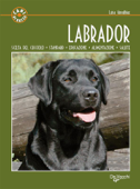 Labrador - Luisa Ginoulhiac