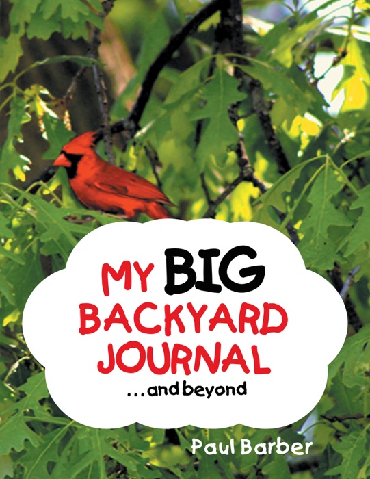 My Big Backyard Journaland Beyond