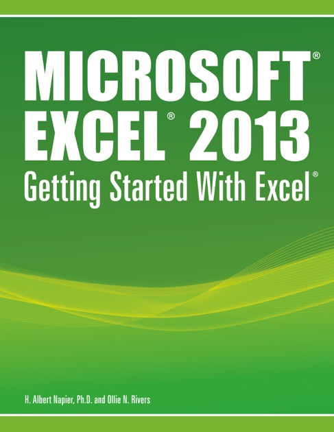 microsoft office excel 2013 book