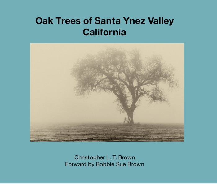 Oak Trees of Santa Ynez Valley