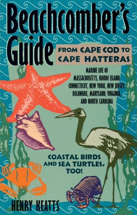 Beachcomber's Guide from Cape Cod to Cape Hatteras