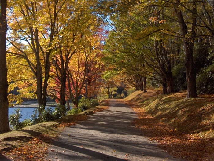 Seasons: The North Carolina Mountains