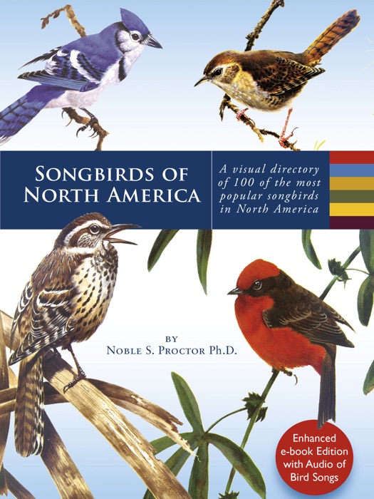 Songbirds of North America