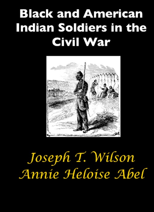 Black and Native American Soldiers in the Civil War