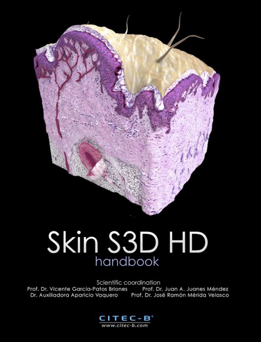 Skin S3D HD