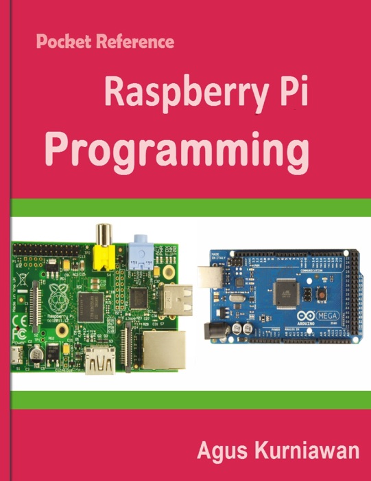 Raspberry Pi Programming