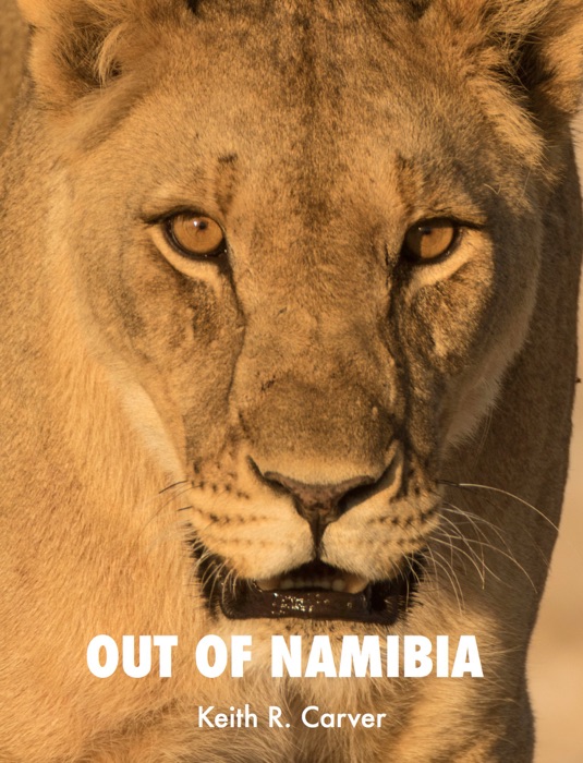 Out of Namibia