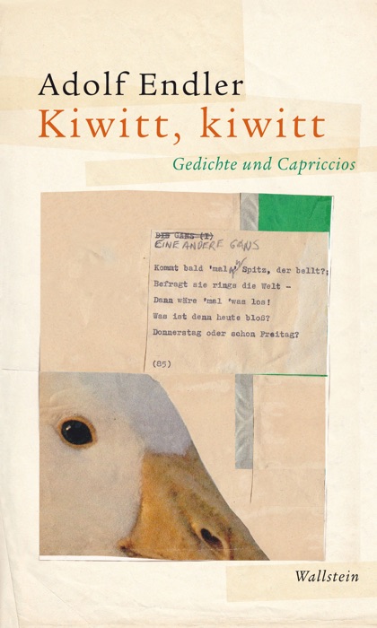 Kiwitt, kiwitt