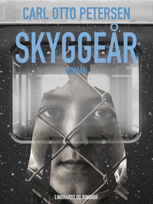 Skyggeår