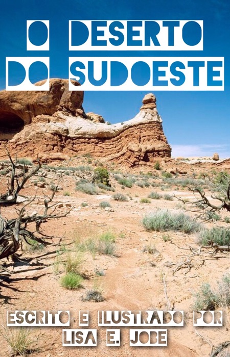 O Deserto do Sudoeste