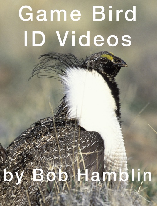 Game Bird ID Videos