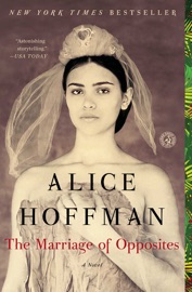 The Marriage of Opposites - Alice Hoffman by  Alice Hoffman PDF Download