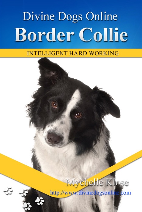 Border Collies