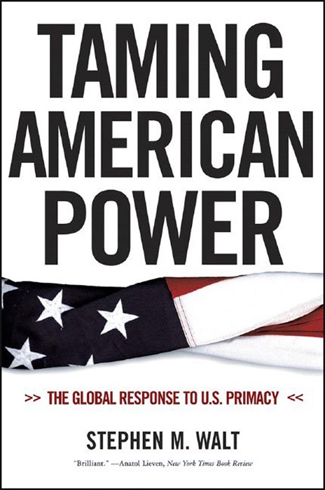 Taming American Power: The Global Response to U.S. Primacy