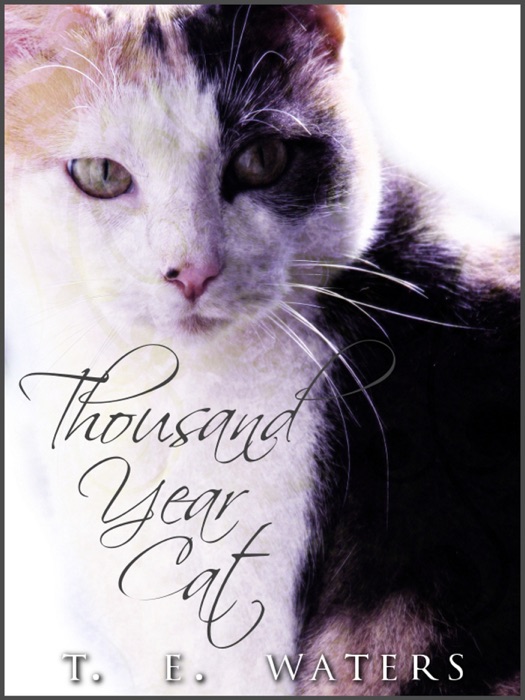 Thousand-Year Cat