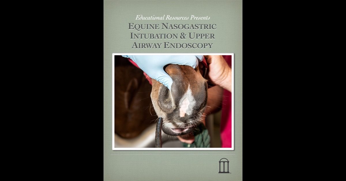 Equine Nasogastric Intubation and Upper Airway Endoscopy by Educational