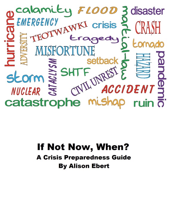 If Not Now, When? A Crisis Preparedness Guide