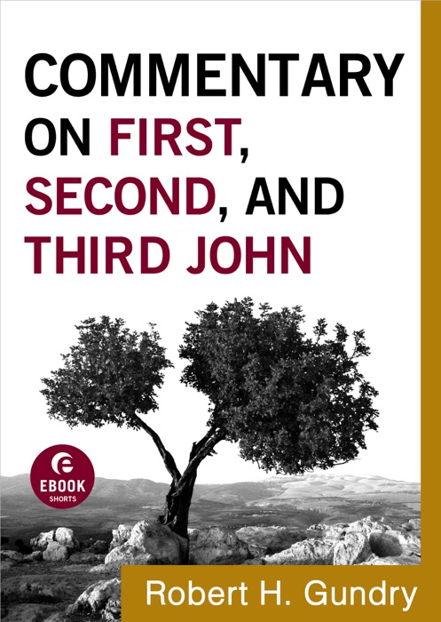 Commentary on First, Second, and Third John