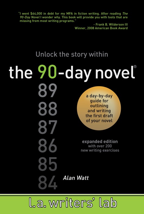 The 90-Day Novel