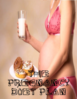 Seiko - The Pregnancy Diet Plan artwork