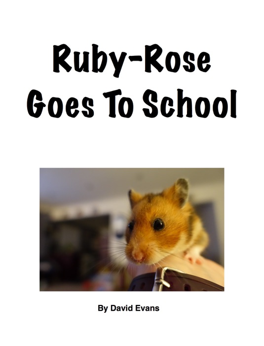 Ruby-Rose Goes To School