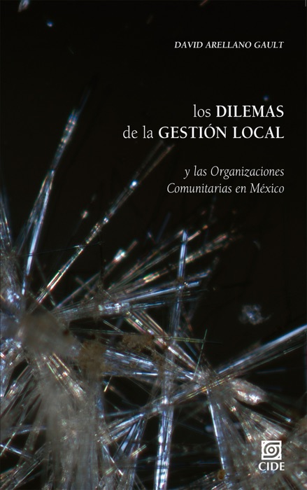 Los dilemas de la gestión local y las Organizaciones Comunitarias en México