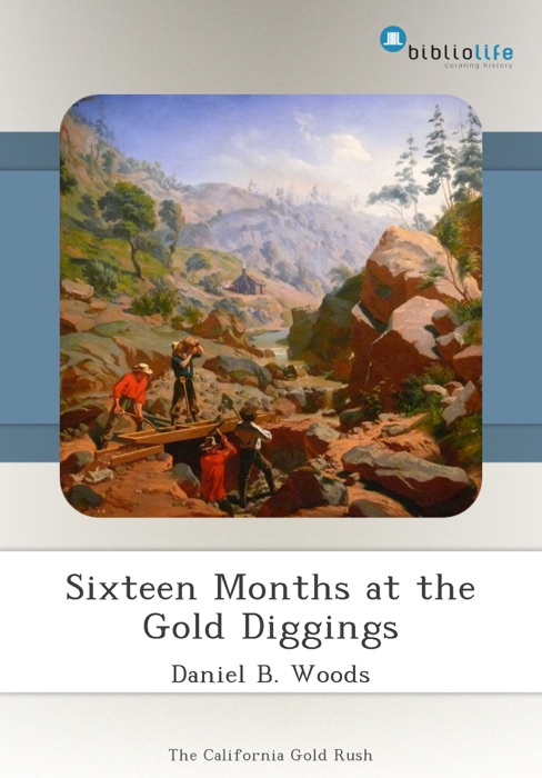 Sixteen Months at the Gold Diggings