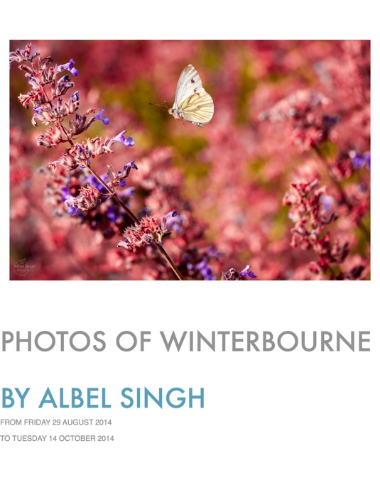 Photos of Winterbourne