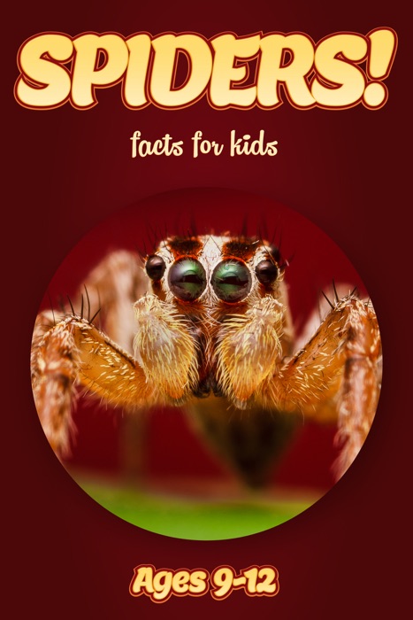 Spider Facts For Kids 9-12