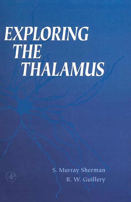 Exploring the Thalamus