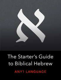 The Starter’s Guide to Biblical Hebrew