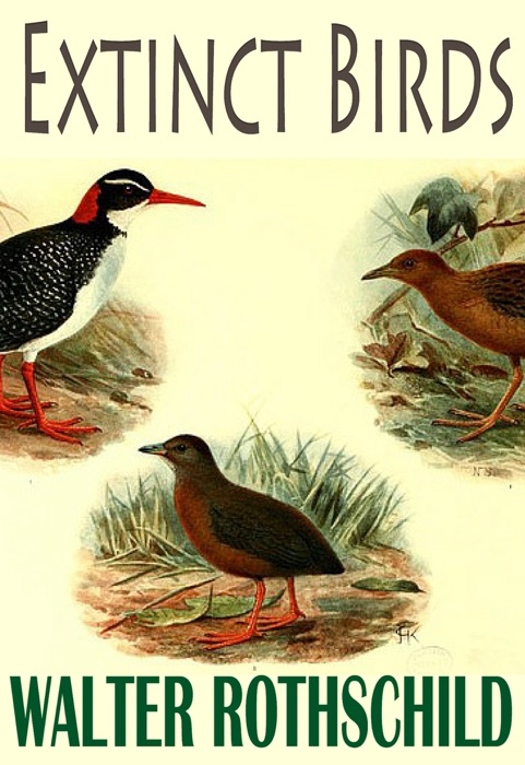 Extinct Birds