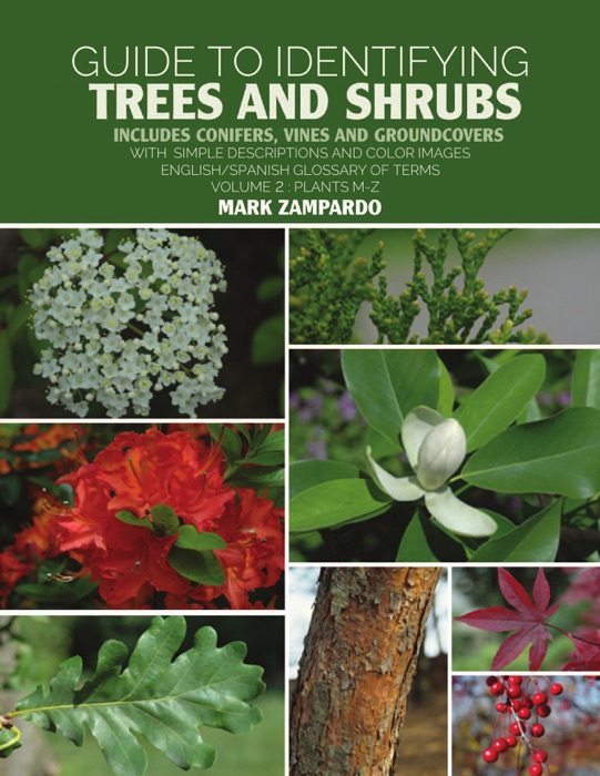 Guide to Identifying Trees and Shrubs Plants M-Z