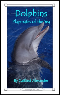Dolphins: Playmates of the Sea