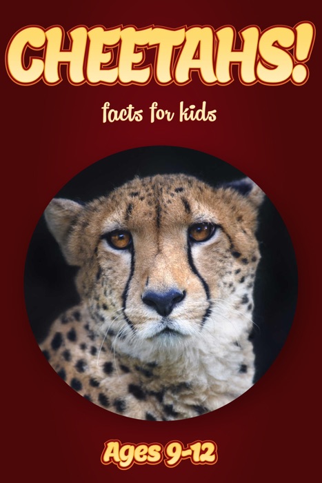 Cheetah Facts For Kids 9-12