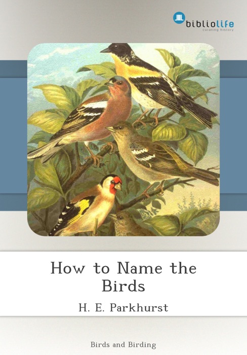 How to Name the Birds