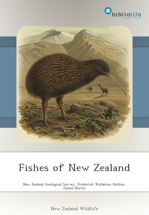 Fishes of New Zealand